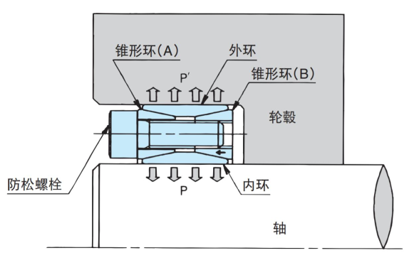 双锥形环类型